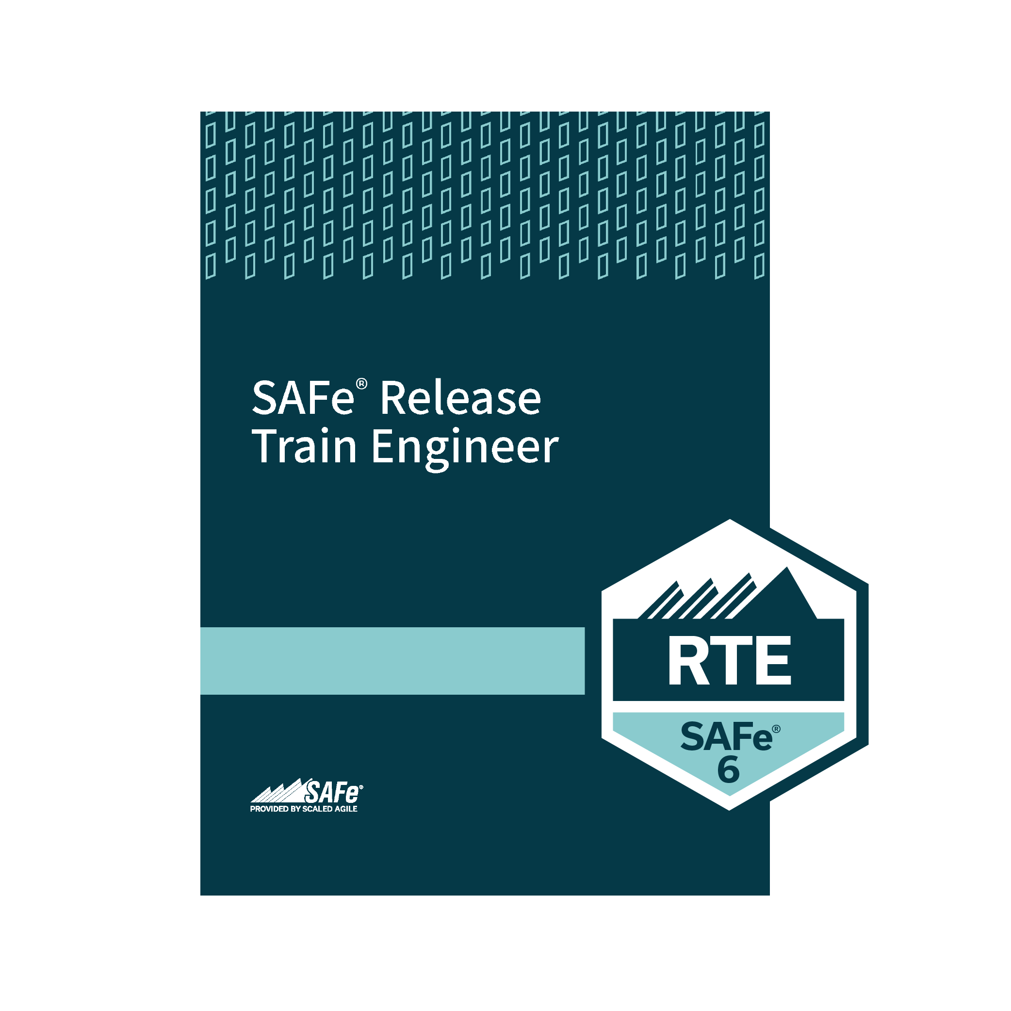 SAFe® RTE Certification Release Train Engineer Book Educushy